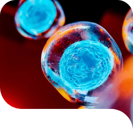 Rejuvenating brain stem cells