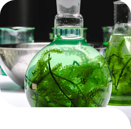 Bio-Energize