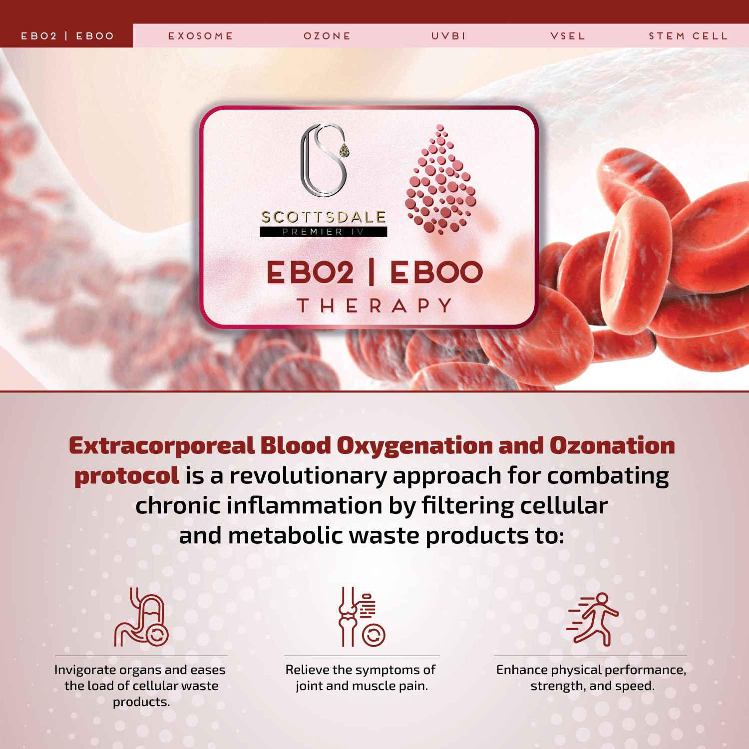 EBO2